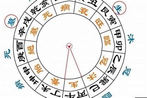 衰病死墓絕|如何理解八字大运的十二长生？衰、病、死、墓、绝等。